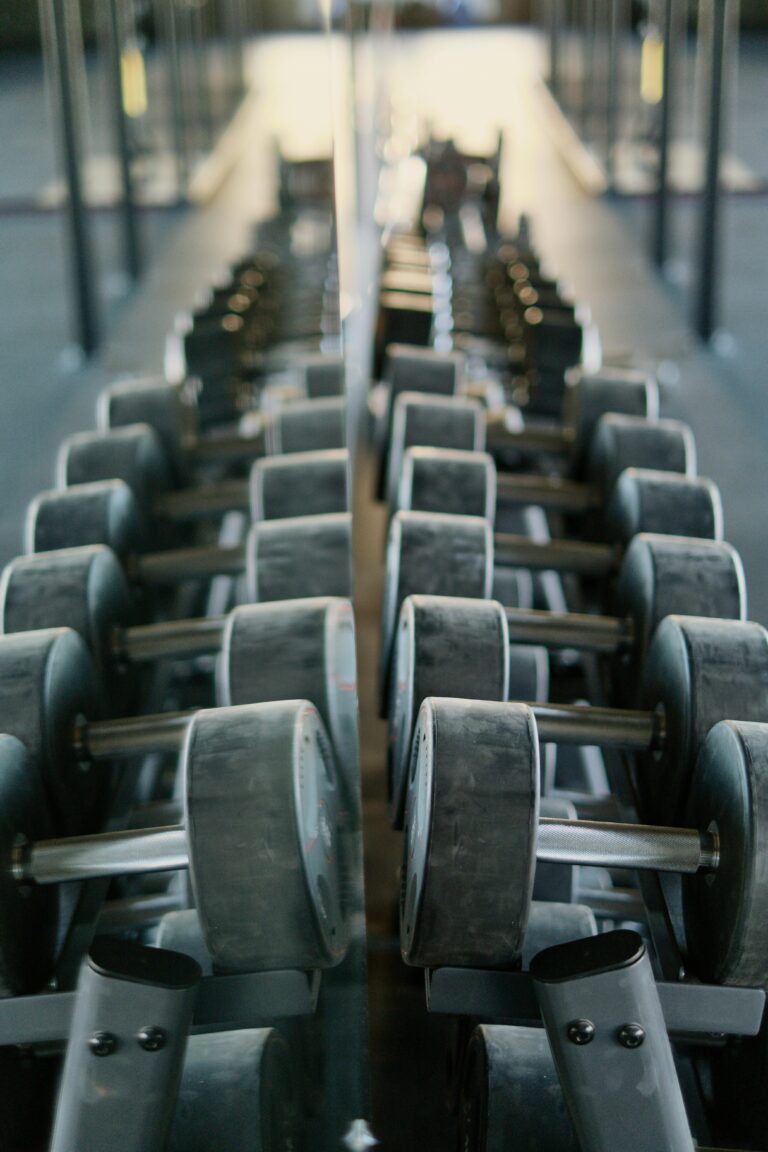 Top 5 Workout Equipment that will get you Results